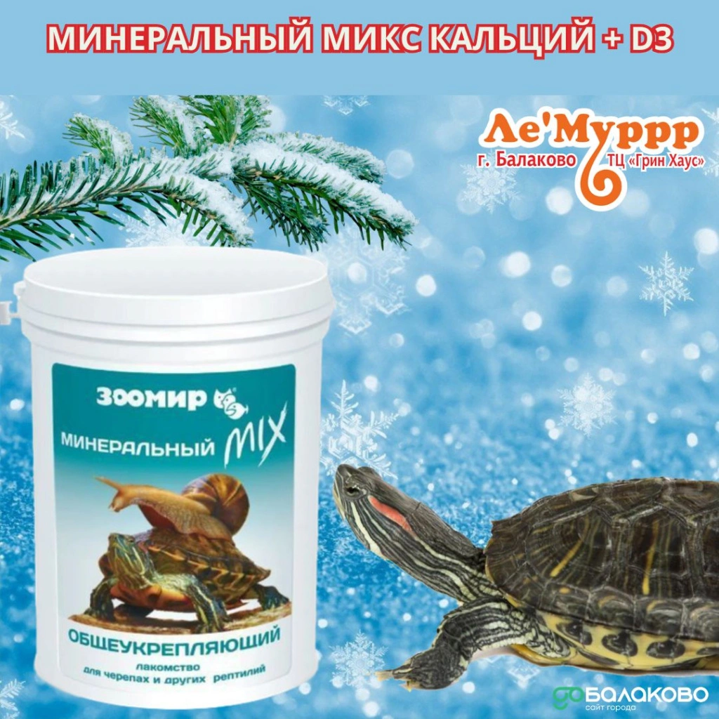 Леммурр 4.jpg