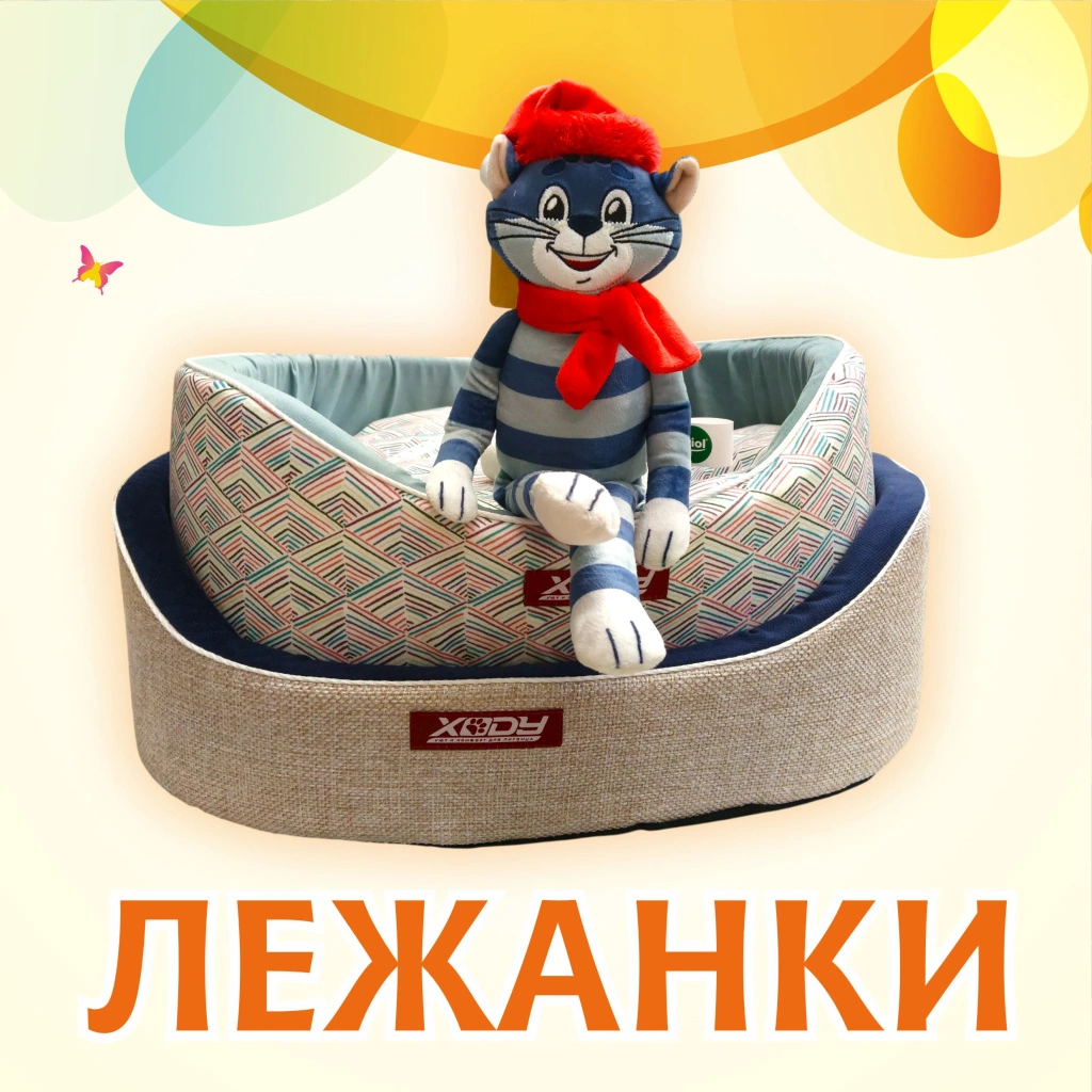 6.jpg 6.jpg