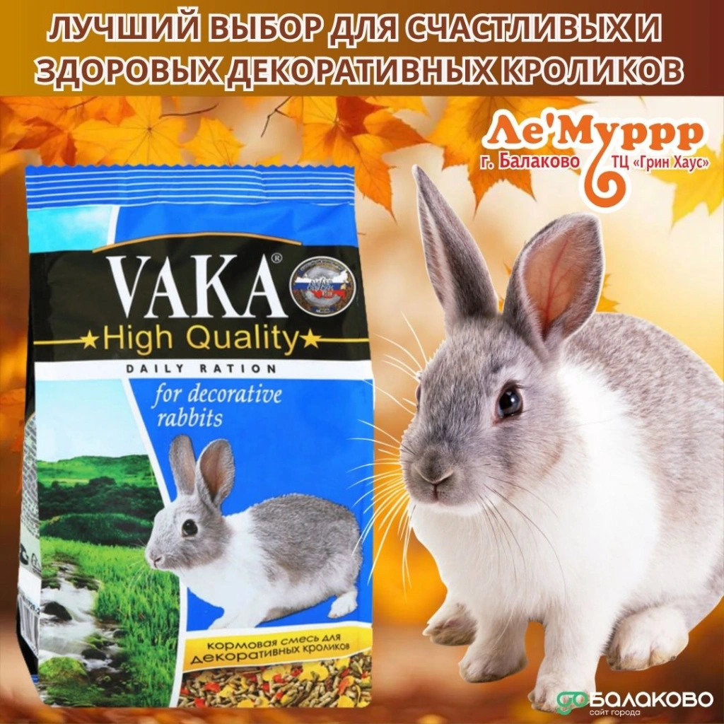 photo_2025-11-17_09-08-36.jpg photo_2025-11-17_09-08-36.jpg