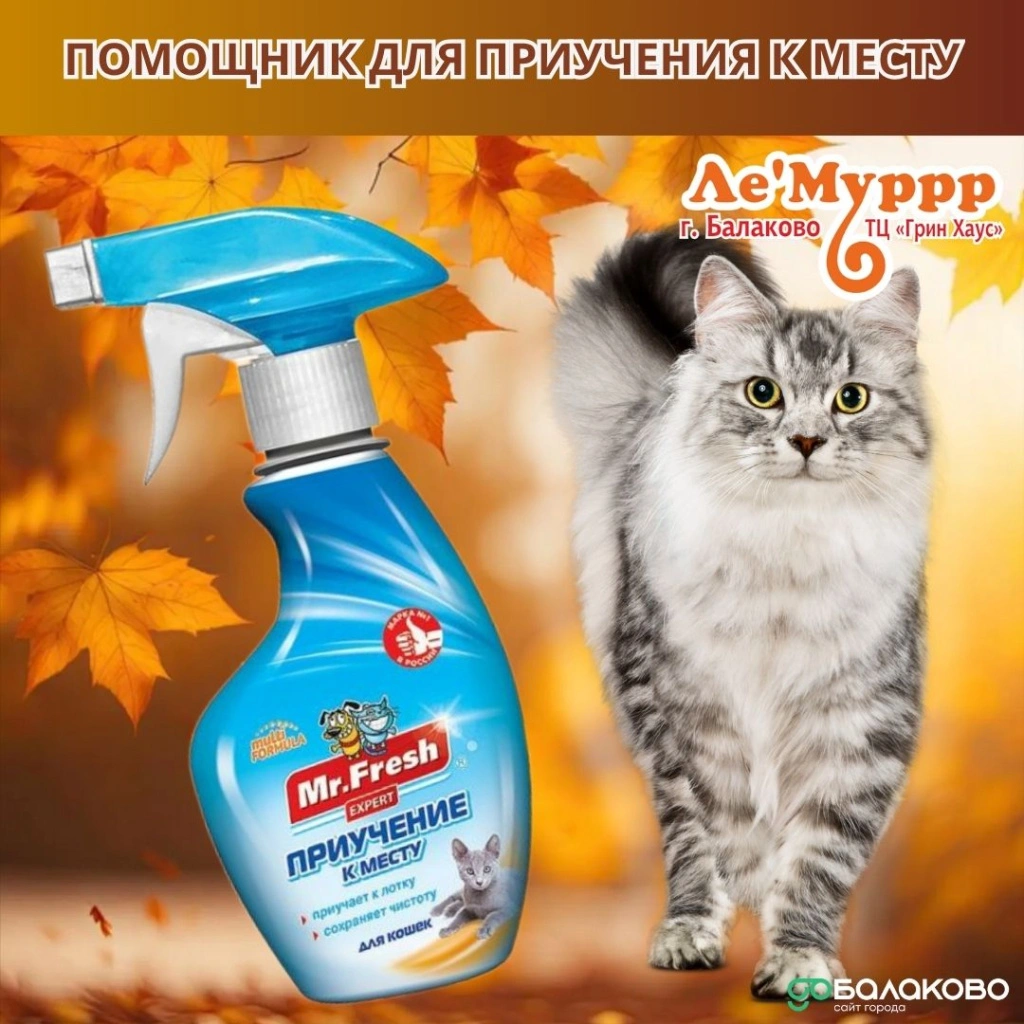 photo_2025-11-06_09-11-10.jpg photo_2025-11-06_09-11-10.jpg