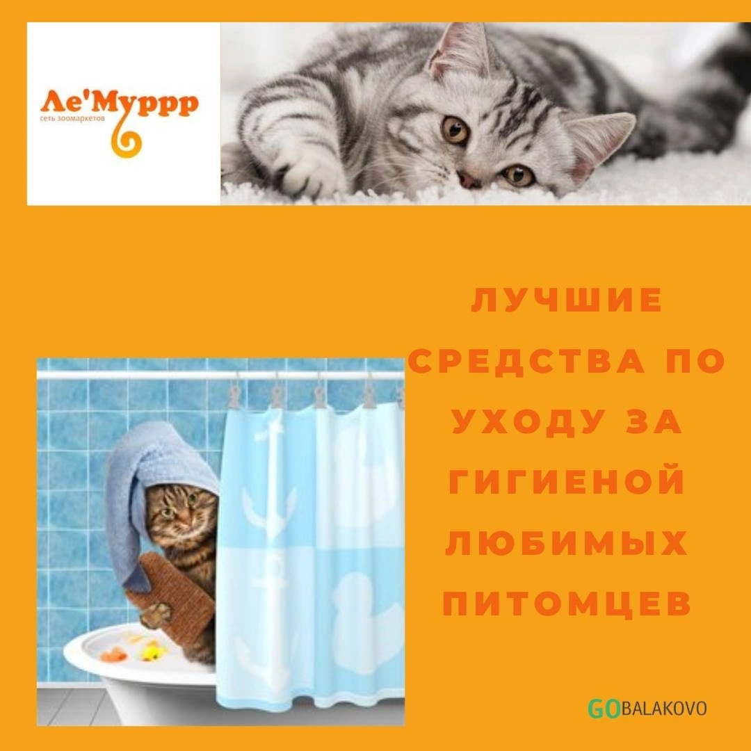 j3MkBzVuKoQ.jpg j3MkBzVuKoQ.jpg