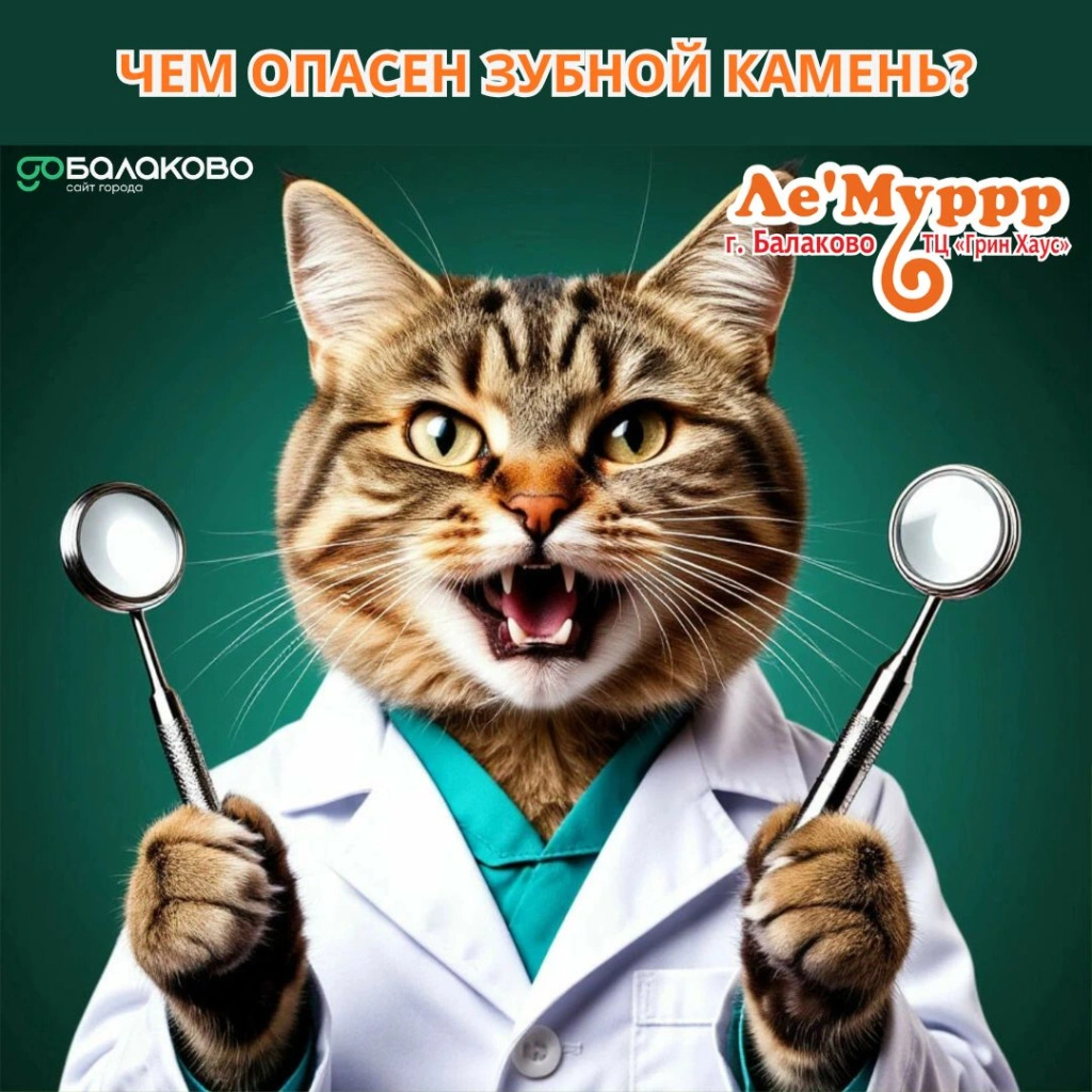 Леммурр 19.jpg