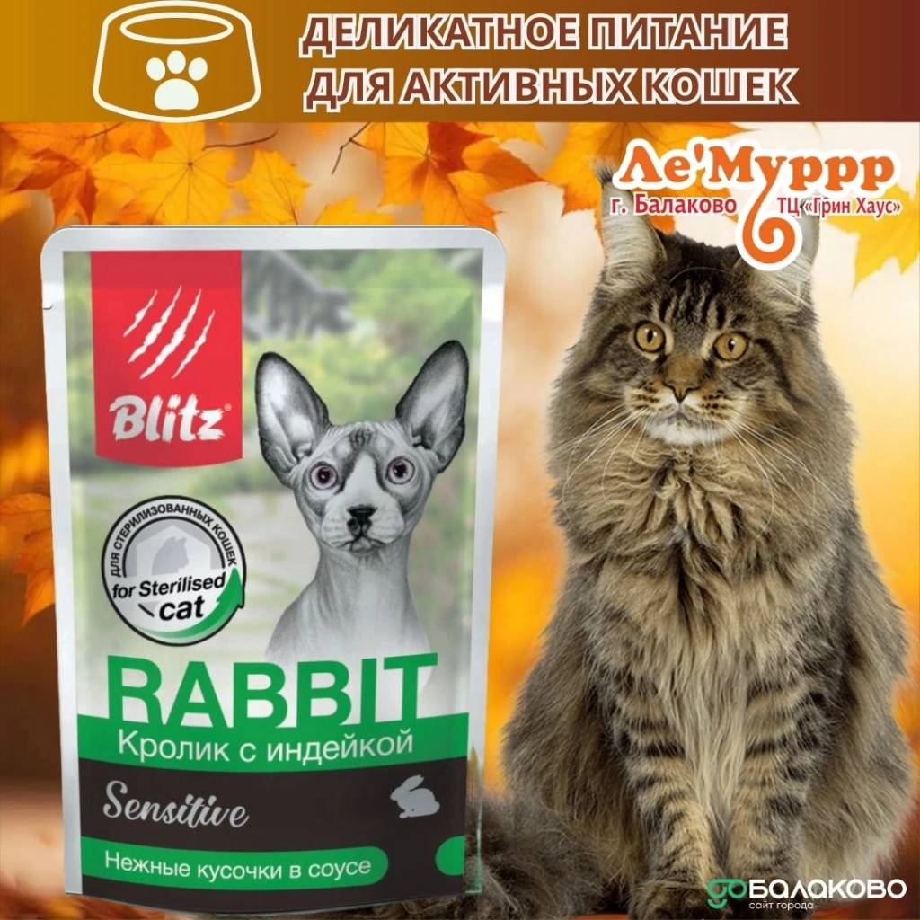 photo_2025-11-17_09-06-48.jpg photo_2025-11-17_09-06-48.jpg