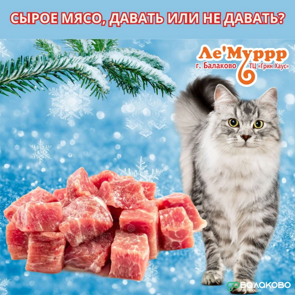 Лемурр 4.jpg Лемурр 4.jpg