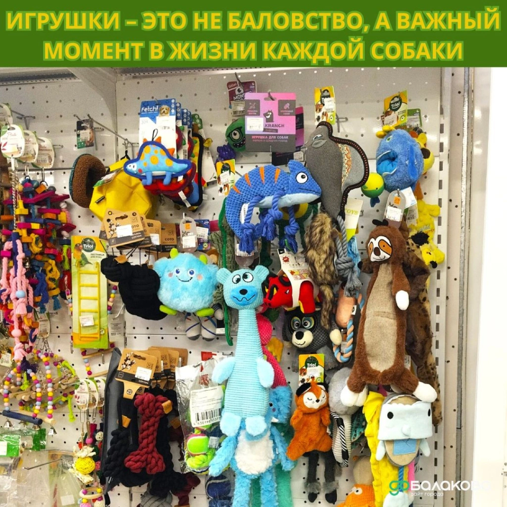 26.jpg 26.jpg