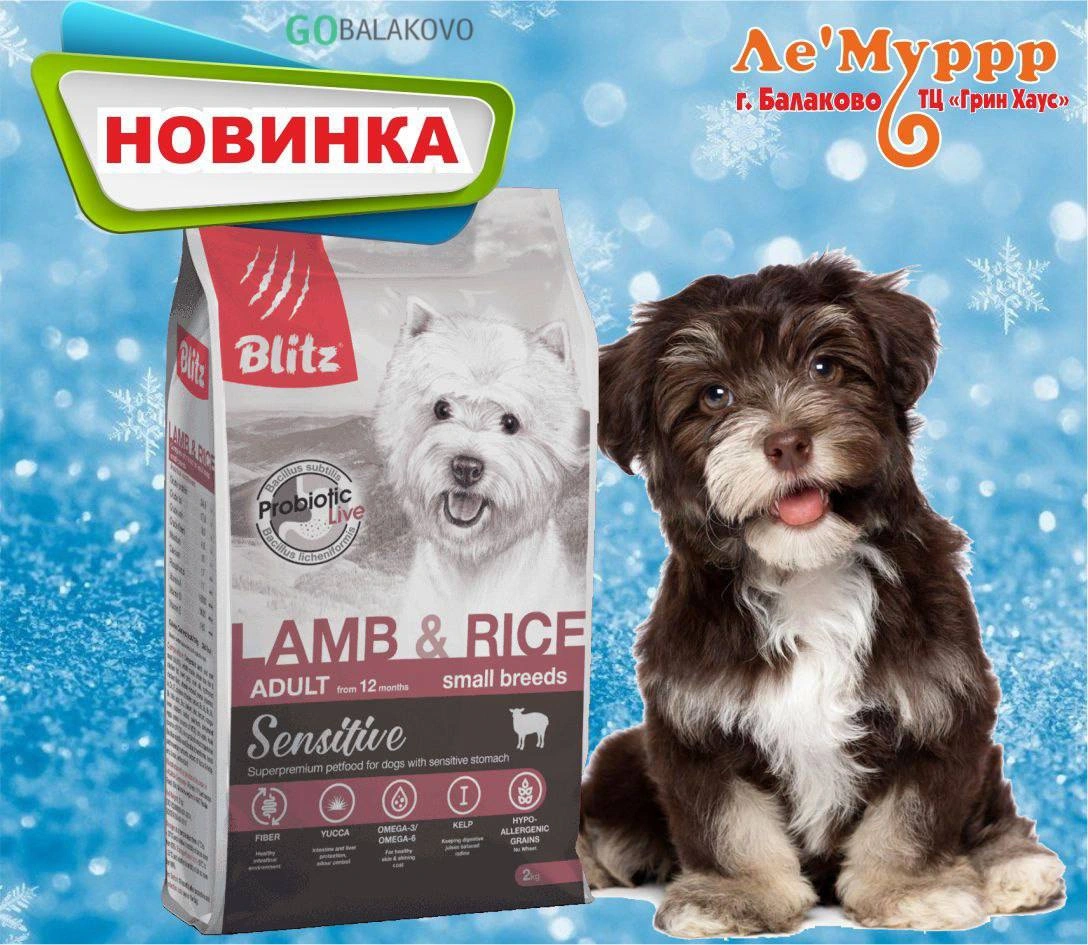 photo_2024-02-06_13-02-04.jpg photo_2024-02-06_13-02-04.jpg