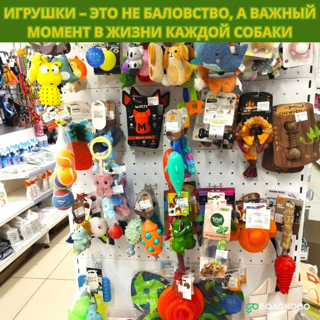 25.jpg 25.jpg