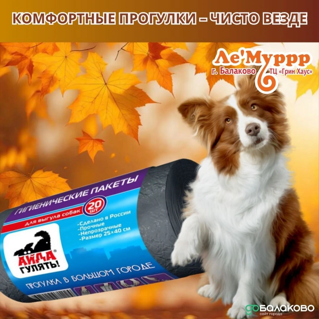 photo_2025-11-11_10-10-42.jpg photo_2025-11-11_10-10-42.jpg