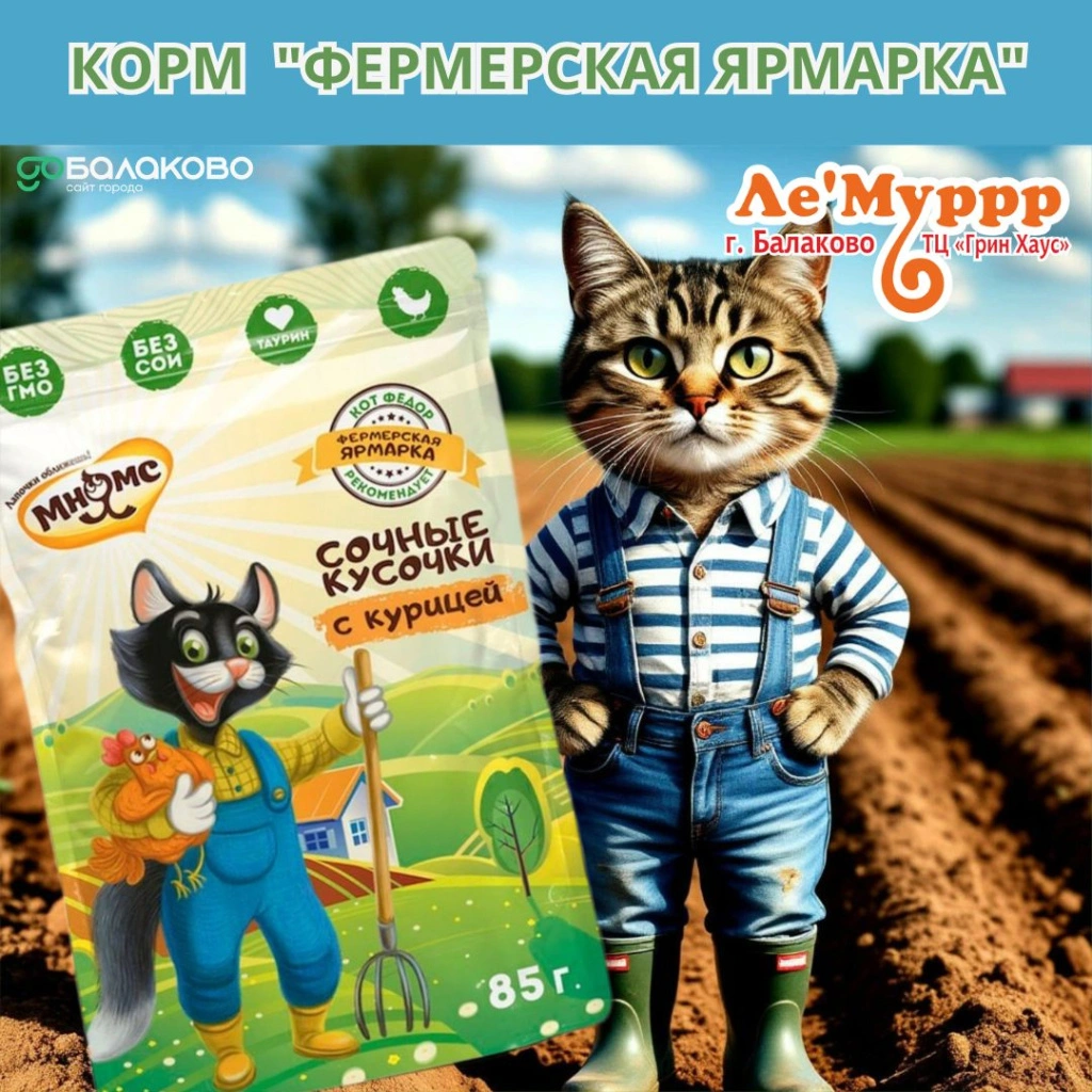 2.jpg 2.jpg