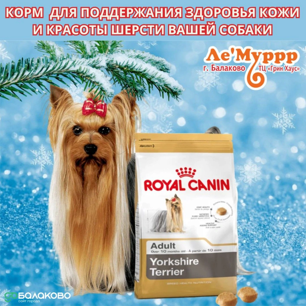 photo_2025-12-01_09-14-28.jpg photo_2025-12-01_09-14-28.jpg