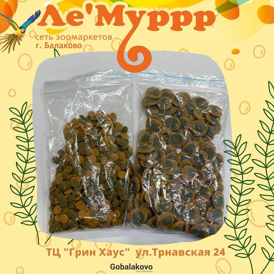 Лемурр блк.jpg Лемурр блк.jpg