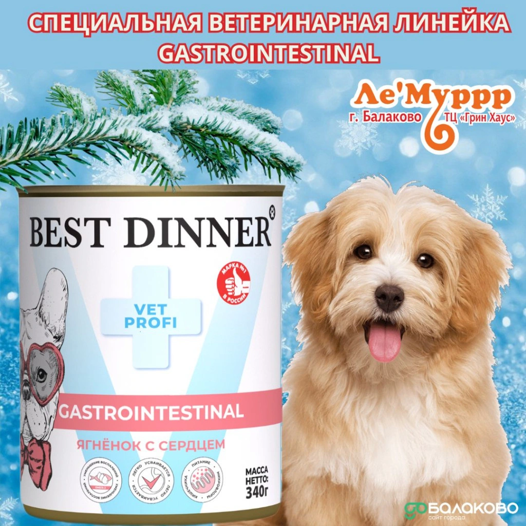 Леммурр 2.jpg Леммурр 2.jpg