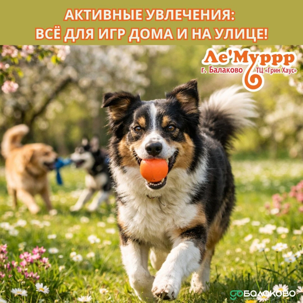 Леммур 22.jpg