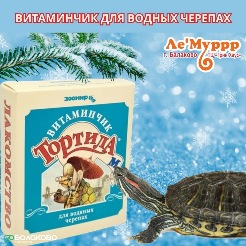 photo_2025-12-02_08-49-20.jpg photo_2025-12-02_08-49-20.jpg